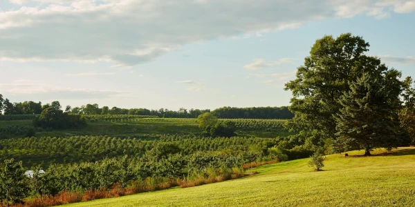 Newport Academy 64 Double Hill Road